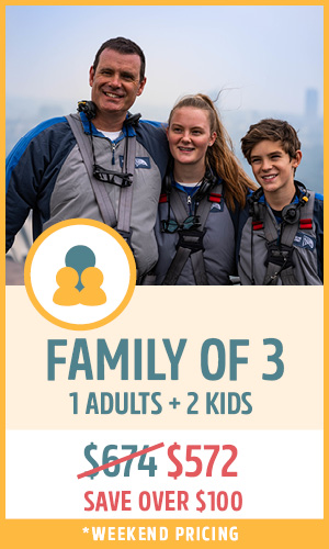 bridgeclimb family bundle tickets - a family of four, two adults and two children, climb the sydney harbour bridge