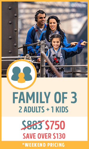 bridgeclimb family bundle tickets - a family of three, one adult and two children, climb the sydney harbour bridge