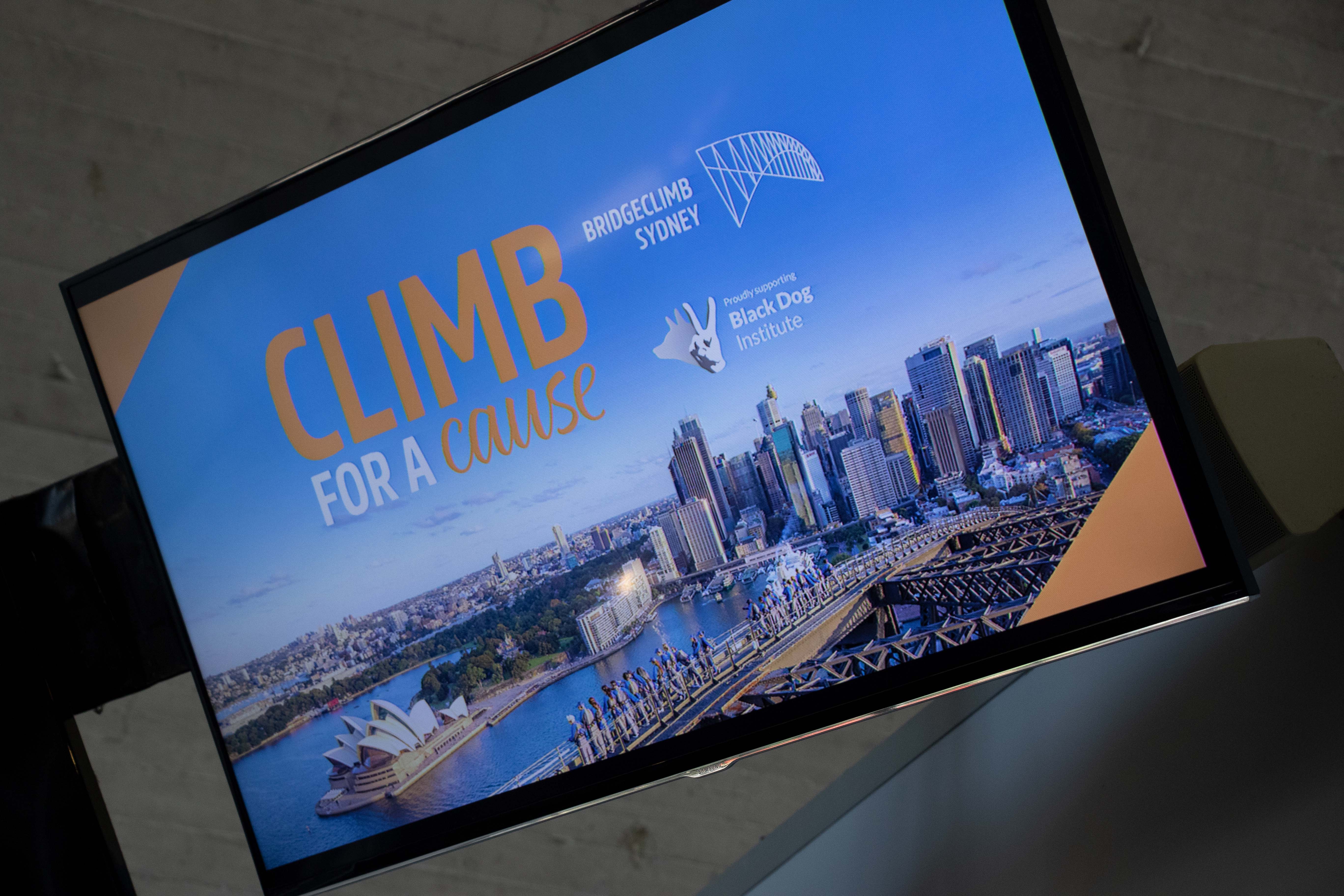 Climb for a cause