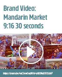 BridgeClimb Mandarin brand video