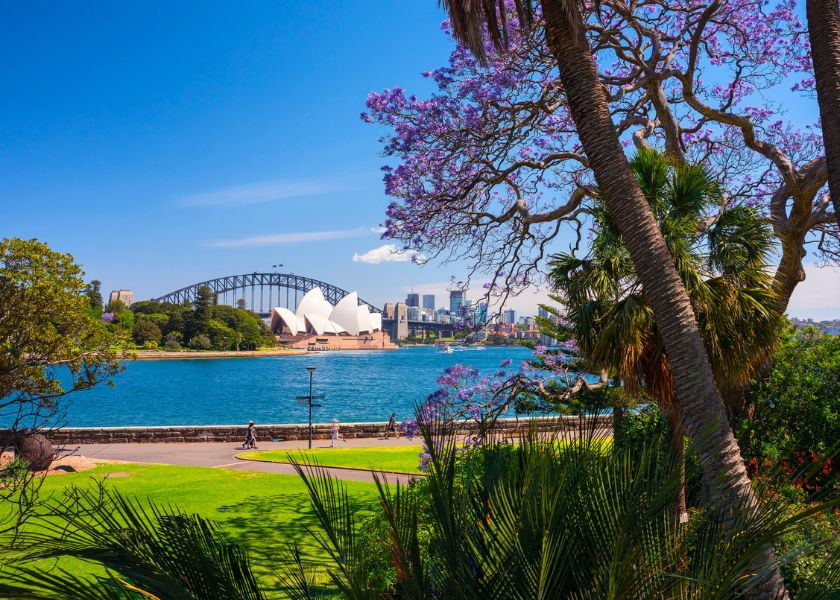 DNSW-RoyalBotanicGarden-edit.jpg Royal Botanic Garden