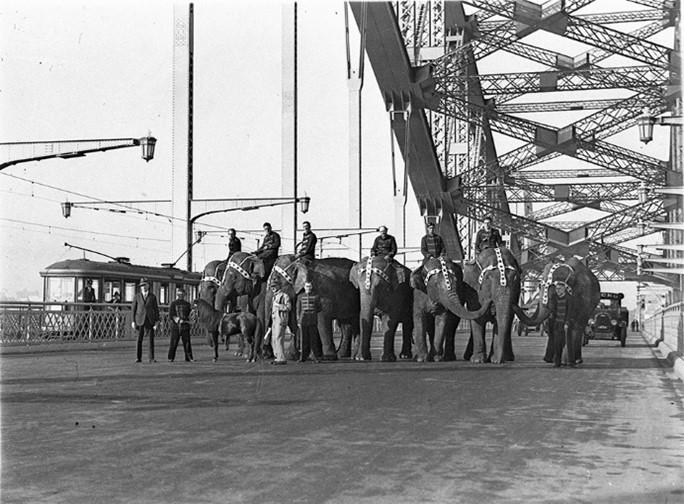 Elephants on Sydney Harbour Bridge