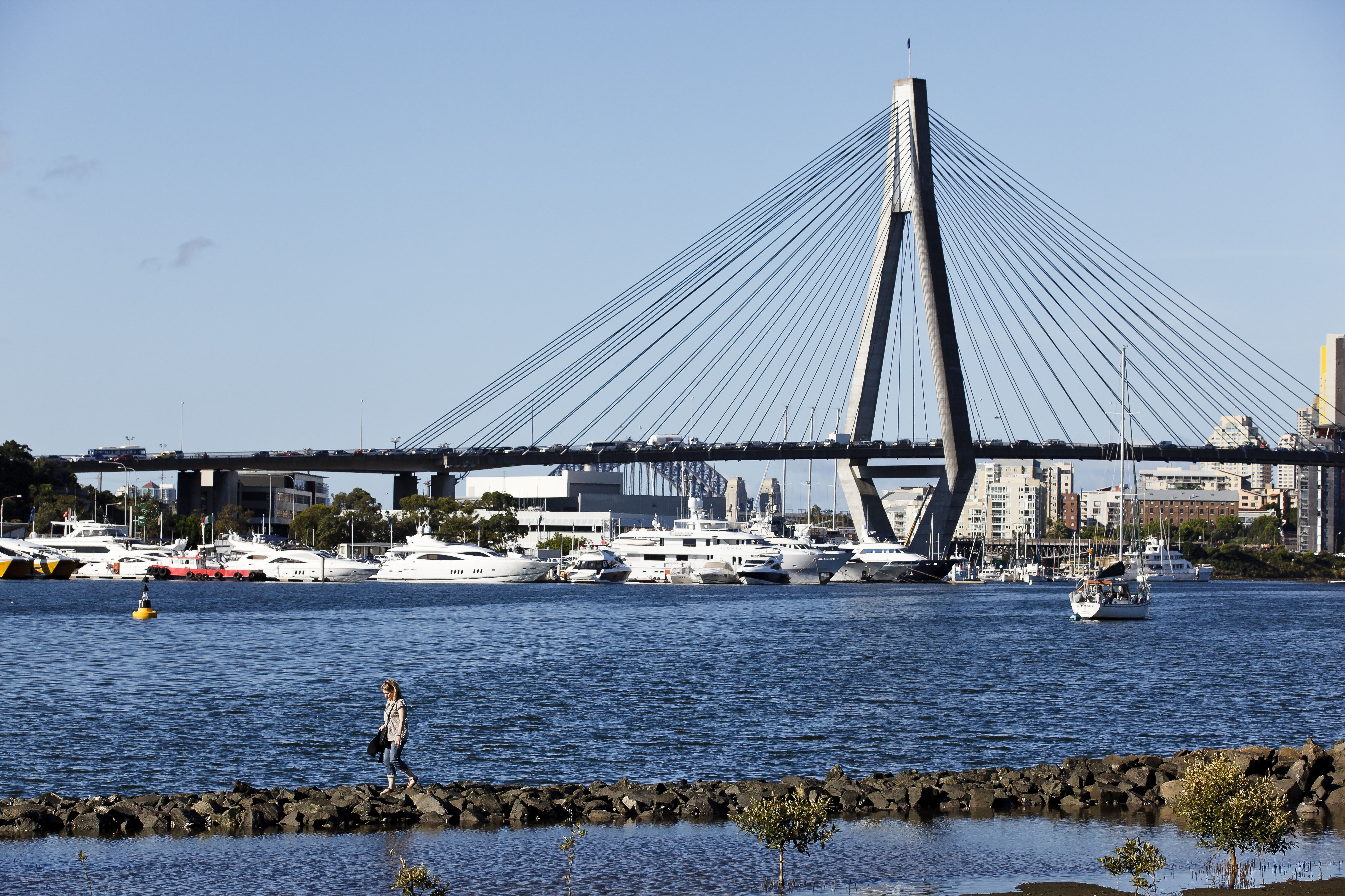 Anzac Bridge and Blackwattle Bay Glebe