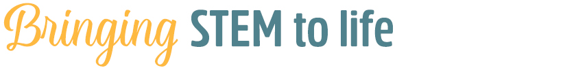 Virtual Bridge STEM Lessons for Schools