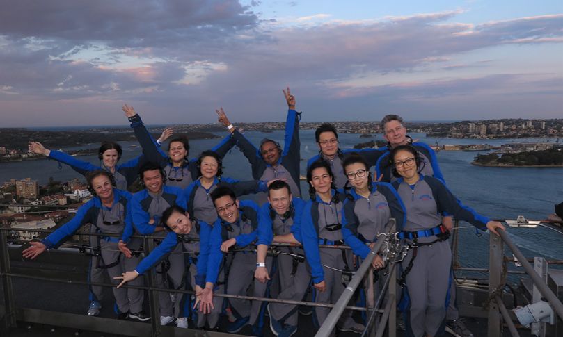 Vix Verify team do BridgeClimb