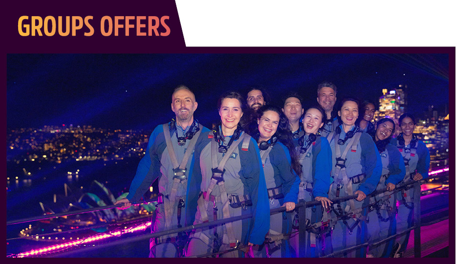 Vivid_Groups_Offer.jpg