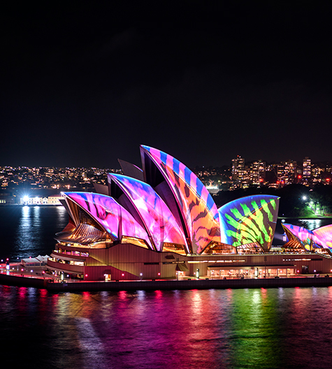 vivid Sydney